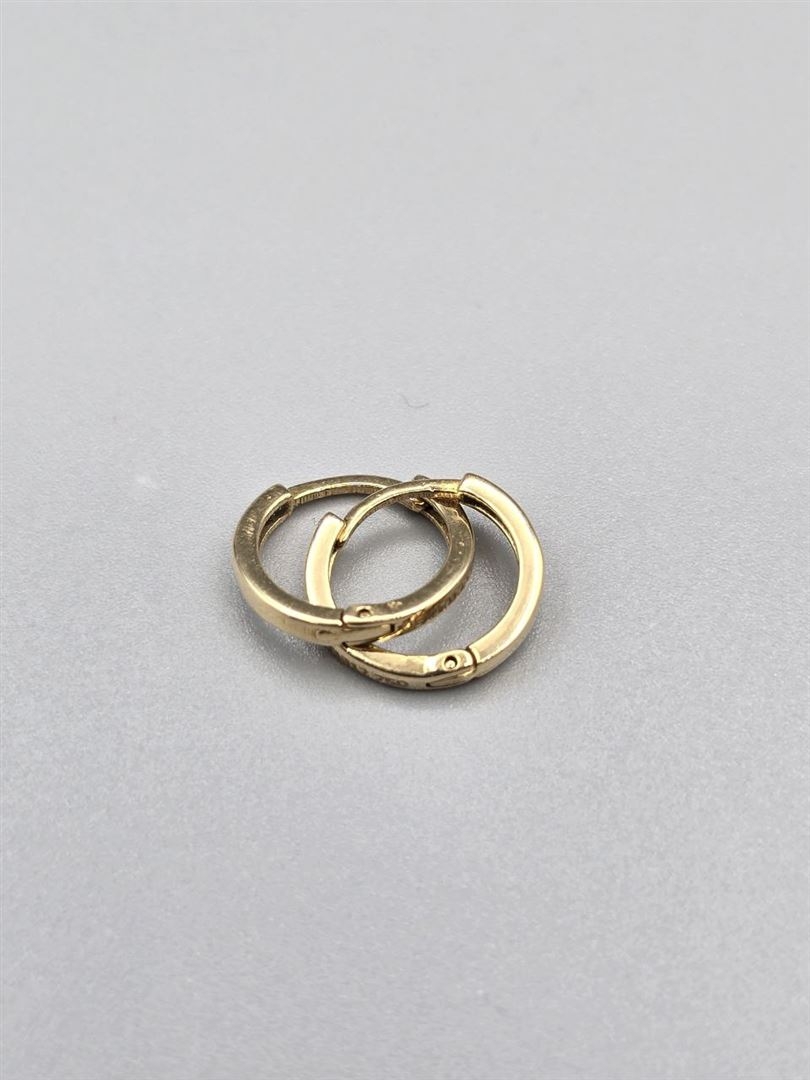 گوشواره حلقه ای