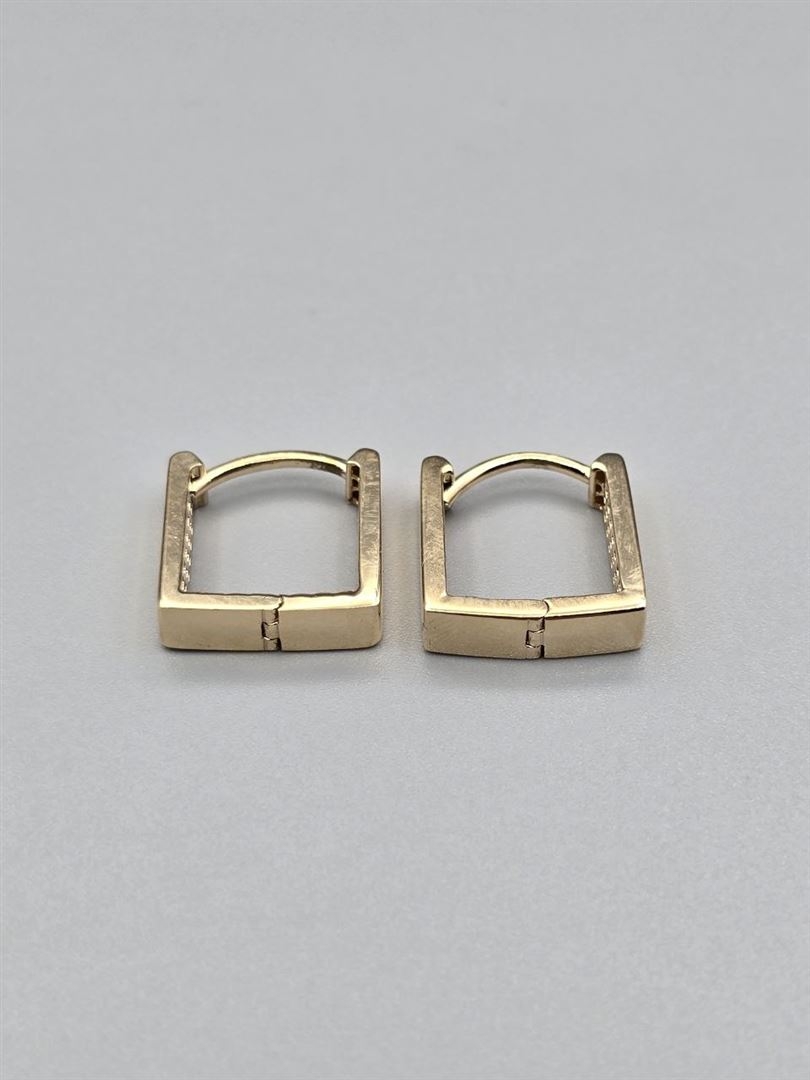 گوشواره ساناز