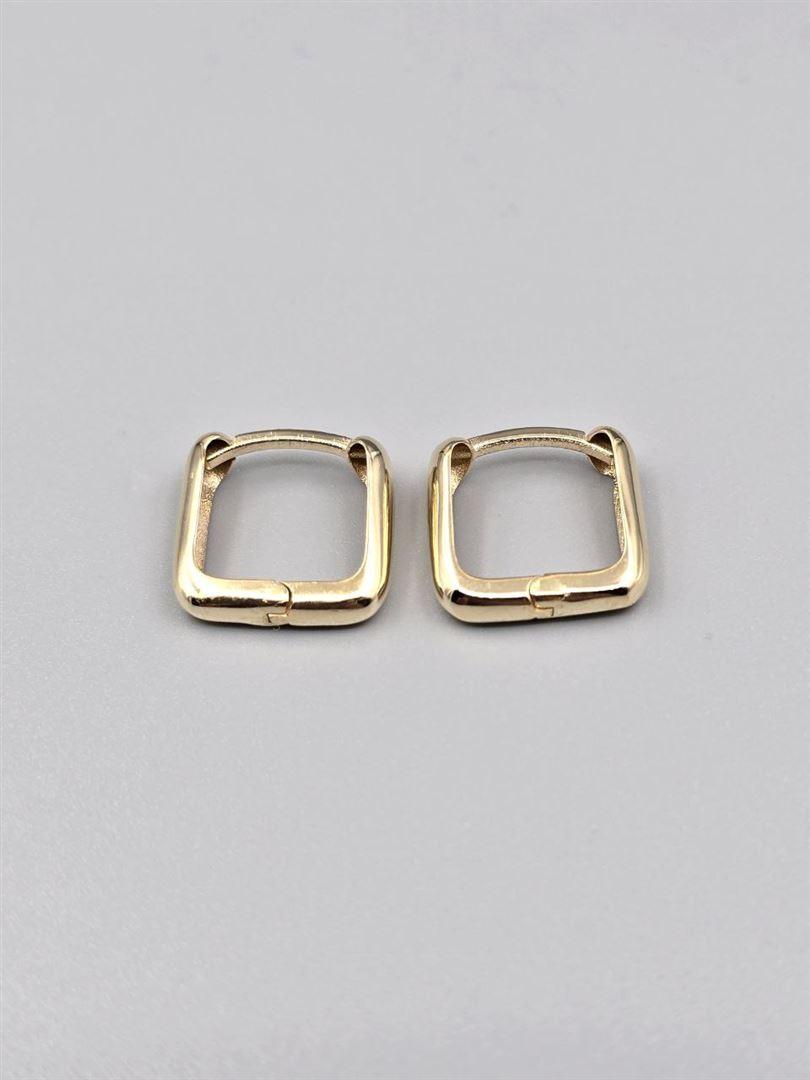 گوشواره ساناز