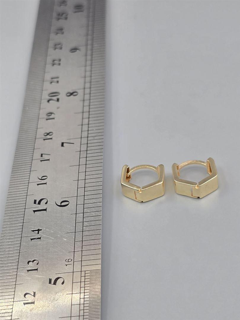 گوشواره ساناز